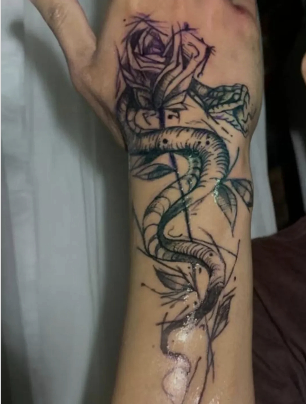 Cobra e Rosa