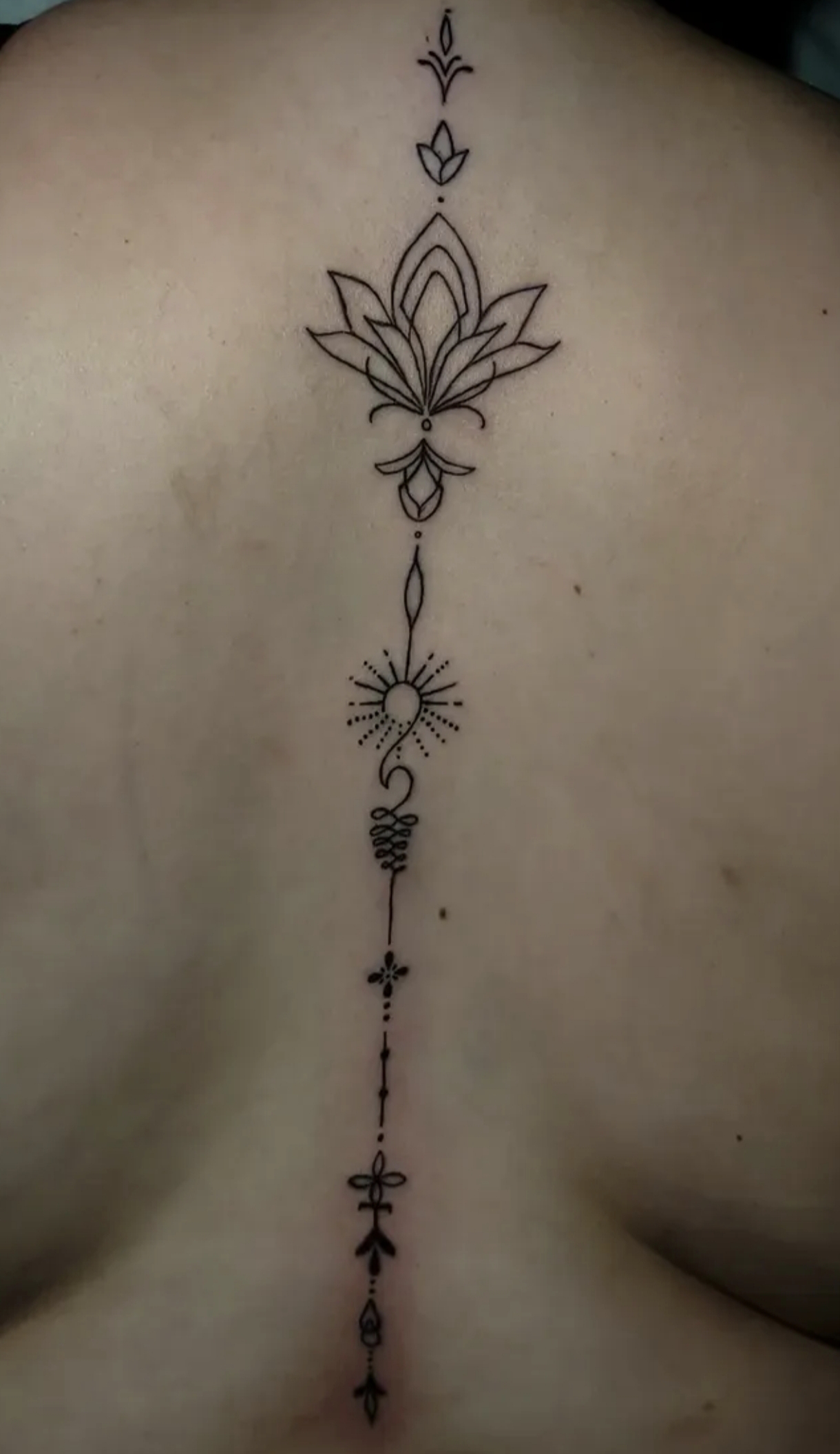 Ornamental